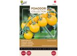 Buzzy Pomodori Cherry Tomato Cereza Amarilla Semi - Circa 1,5 Gr | Buzzy_028455