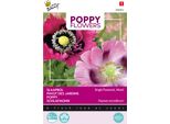 Buzzy Poppy Fiori Papavero Somniferum Mix Semi - Circa 1 Gr | Buzzy_080862