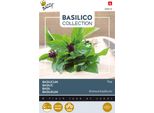 Semi Di Basilico Thai Buzzy - Circa 1,5 Gr | Buzzy_080916