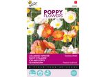 Buzzy Fiori Di Papavero Islanda Semi Di Papavero - Circa 0,5 Gr | Buzzy_080858