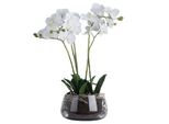 Hill Interiors - Fiore Artificiale, Orchidea HI3421 (Taglia Unica) (Verde)