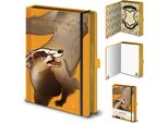 Harry Potter - Taccuino - Case Intricate Tassorosso