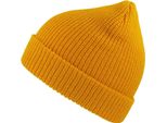 Atlantis - Berretto "Woolly"" AB486 (Taglia Unica) (Giallo)"