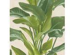 Profhome 378623-GU Crema Verde Opaco Leggermente Goffrato 5,33 M2