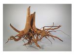 Finger-Wurzel Large (40-60 Cm)