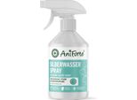 Aniforte Silver Acqua Spray - 250 Millilitri