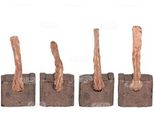 1 Set - Set In Carbonio - Adatto Per: Bosch 1004320155 - Hc-Cargo 142337 - Hc-Cargo BSX161-1624