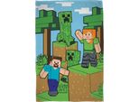Minecraft - Coperta In Pile 100 X 150 Cm