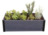 Keter Orto Sopraelevato Grafite Acero Trogolo 106 X 50 X 32Cm