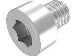 Vite A Testa Cilindrica Seccaro M2,5 X 4 Mm, Acciaio Inossidabile V2A Va A2, Din 912 / Iso 4762, Cava Esagonale, Filettatura Completa, 20 Pezzi