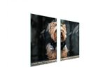 Piastre Copri Fornelli 2 Pezzi 75X52 Ceramica Copri Piano Cottura Vetro Tagliere Cane Yorkshire
