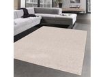 Tappeto A Tessitura Piatta Per Ingresso E Corridoio - Monocolore In Beige Dimensioni - 160 X 230 Cm