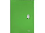Leitz 46220055 4622 Cartella Portadocumenti Recycle - A4, Pp, Neutrale Dal Punto Di Vista Climatico, Verde