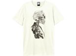 Amplified - Maglietta "Death Of Punk Rock"" Per Uomo/Donna Unisex GD1999 (Xxl) (Bianco Antico)"