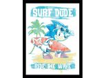 Sonic The Hedgehog - Stampa Con Cornice "Ride The Wave"" PM10872 (40 Cm X 30 Cm) (Bianco/Blu)"