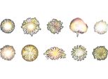 20 Fogli Adesivi Scrapbook Exquisites Innovativi Fuochi D'artificio Serie Planner Decorazione Per Album Journal