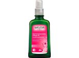 Wild Rose - Olio Curativo Armonizzante 100Ml Confezione Da 5 Pezzi
