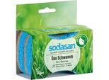 Eco Spugna 2 Pezzi Confezione Da 2