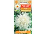 Astro Alto Bianco 1G
