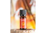 Olio Per I Chakra Dei Profumi Sacri - Chakra Della Radice Di Muladhara 10Ml