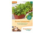 Mix Di Insalate Piccanti Per Il Balcone - Piatto D'insalata Colorato