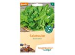 Disco Di Semi Di Rucola Ruca - Eruca Sativa