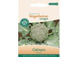 Broccoli - Calinaro