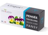 Viole Del Pensiero VéRitable Lingot - Terriccio Biologico, Pre-Trapiantato