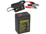 Batteria Agm A Piombo 6V 4,5Ah Compatibile Per Ups Lead Gel + Caricatore