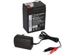 Set Q-Batteries Bl 6-0.6 Caricatore + Batteria Al Piombo 6LS-4.5 6V 4.5Ah Al Piombo Agm Vrla