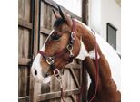 Kentucky Horsewear Stallhalfter Nylon Intrecciato Halfter Nylonhalfter Bordeaux Cob