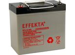 Effekta Btl 12-55L Batteria Al Piombo Agm Vrla 12V 55Ah