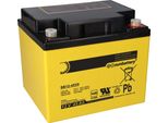 Sun Battery SB12-45V0 Batteria Agm 12V 45Ah Al Piombo Con Vds