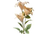Fiore Artificiale Clayre & Eef 72 Cm Plastica Beige