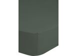 Hip Lenzuolo Matrimoniale 100X200 Cm Verde Oliva Scuro