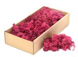 Muschio Decorativo Iceland Moss Pink 400G - Ideale Per L'artigianato, La Floricoltura E La Decorazione Di Interni