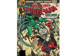 Spider-Man - Stampa Su Tela PM9223 (80 Cm X 60 Cm) (A Colori)