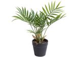 KüNstliche Zimmerpflanze BOTANIC-HAUS "Chamaedorea Palme", GrüN, B:30Cm H:28Cm T:30Cm Ø:30Cm, Kunststoff, Kunstpflanzen, KüNstliche Zimmerpflanze