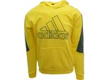 Adidas Future Icons Badge Of Sport Ricamato HK4541 Herren
