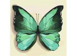 Pittura Per Numeri - Farfalla Verde 25X25