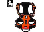 Pettorina Per Cani, Antideflagrante, Riflettente, Arancione, L