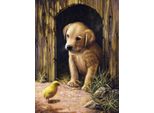Royal & Langnickel Pittura Per Numeri Labrador