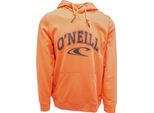 O'neill Lm State 1A1438-2513 Herren