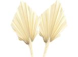 Lance Di Palma Sbiancate 20 Pezzi - Elegante Decorazione Naturale Per La Decorazione Di Funerali E Ambienti