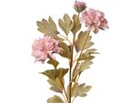 Fiore Artificiale Clayre & Eef 68 Cm Plastica Rosa