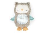 Ingenuity Pet Peluche Gufo Musicale Nally™ Con Bluetooth 0M+
