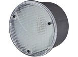 Luce Di Retromarcia Sinistra 24 V P21W Alogena Hella Per Liebherr E Altri