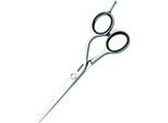 Forbici Per Parrucchieri Jaguar Silver Line CJ4 Plus Lunghezza 6,5 Pollici 0,03503 Kg