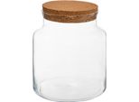 Terrario - Vetro - H21 Cm - Atmosphera CréAteur D'intéRieur