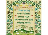 Set Per Punto Croce Bothy Threads "Pride And Joy"", 24X25Cm, XS12, Schema Contato"